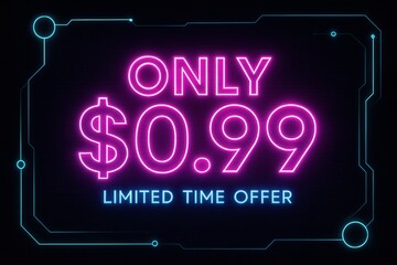 Neon-style promotional graphic displaying the text "ONLY $0.99 LIMITED TIME OFFER" with a futuristic border design, ideal for marketing and sales campaigns.