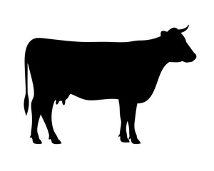 Black cow silhouette with horns standing on a white background illustration