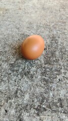 egg on the ground