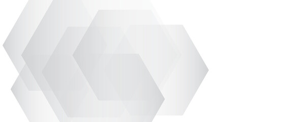White hexagonal abstract background overlap layer on bright space with lines effect decoration. Modern graphic design element circles style concept for banner.