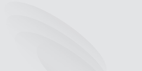 White geometric abstract background overlap layer on bright space with lines effect decoration. Modern graphic design element circles style concept for banner, flyer, card, cover, or brochure