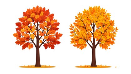 Two autumn trees with vibrant fall foliage