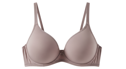 Isolated Beige Bra