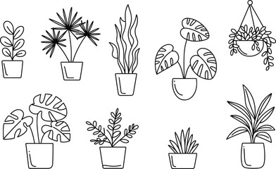 Indoor potted houseplants collection, black and white line art, botanical home decor, hand-drawn plant illustrations, modern minimalist design