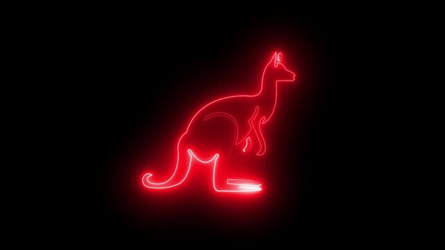  simple kangaroo icon with clean design for wildlife and australian concept
