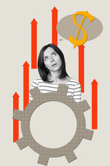 Poster image artwork pop collage of minded businesswoman dream dollar money capital income arrow progress development gear