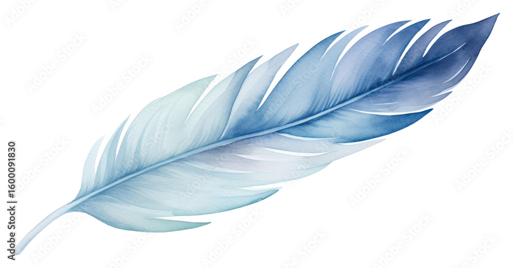 Poster png minimal horizontal clean feathers with shape edge in bottom border nature leaf lightweight.