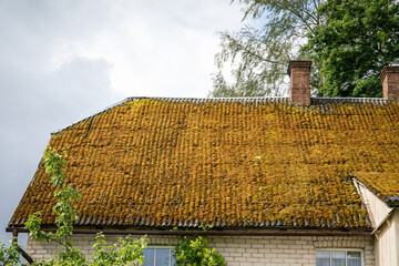 Old Roof Covered with Moss Indicating Age, Neglect, and Natural Overgrowth in Humid Climate