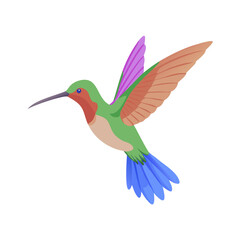 Obraz premium A Vibrant Hummingbird in Flight with Colorful Plumage, Perfect for Nature Illustrations and Wildlife Designs on a Transparent Background for Easy Integration