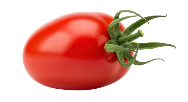 Isolated Plum Tomato