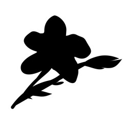 Flower Silhoutte