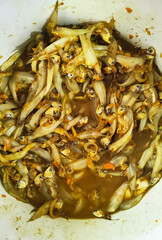 Seasoned Small Fish Ready for Cooking Preparation