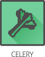 Celery vegetable food stylised icon concept. Possibly an icon for the allergen or allergy.