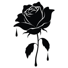 black rose vector illustration silhouette, vintage, flowers, drawing, spring, beauty, bud, petal, summer, bouquet, card, flora
