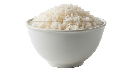 Isolated Bowl of Cooked Rice