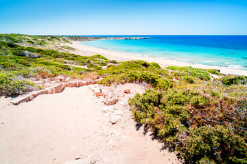 Lara Beach on the Akamas Peninsula, Paphos. A haven for turtles, the most beautiful beach in...