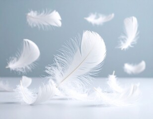 Obraz premium white feather on blue background