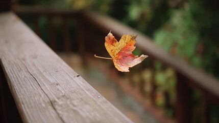 Autumn leaf on a wooden deck