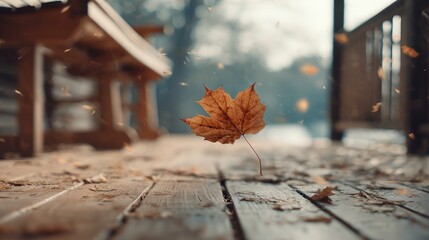 Autumn leaf on wooden deck