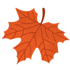 Bright orange maple leaf in flat style, isolated on white background. Perfect autumn element for seasonal decor and design.