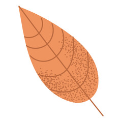 Small brown oval-shaped leaf in flat illustration style. Ideal for understated autumn compositions.