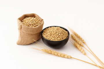 A burlap sack, a black bowl filled with grains, and wheat ears on a white background.