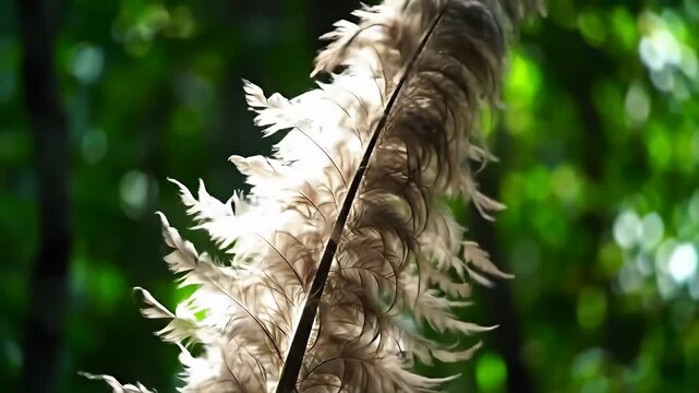 Feather close-up against a green bokeh backdrop, bathed in sunlight