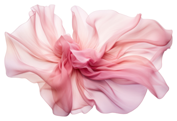 PNG Flower pattern silk petal plant