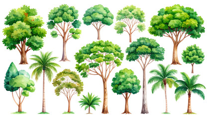 Obraz premium Vector tree set: diverse silhouettes of palm, pine, and oak trees, perfect for nature illustrations and forest designs