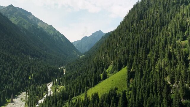 Drone flies sideways over Karakol Gorge in Kyrgyz part of beautiful Tian Shan mountains in Summer.