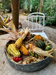 Rustic Autumn Harvest Still Life