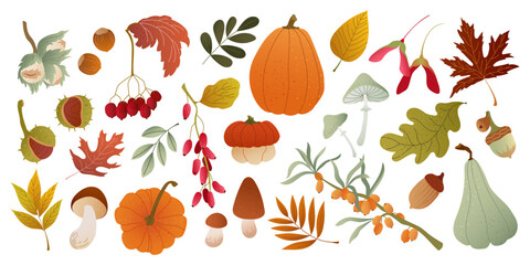 Set of textured autumn elements: pumpkins, leaves, mushrooms, berries, acorns and nuts. Cozy fall mood for seasonal card, banner, poster, print. Collection of warm flat vector design element isolated