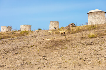 A dry landscape with two stone structures and three sheep grazing on the hillside under a clear...