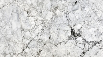 Obraz premium Detailed view of white marble surface texture.