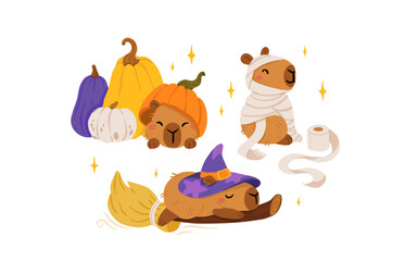 Cute Halloween capybara clipart set. cartoon witch capybara with hat, broom, cauldron, pumpkin costume, skull, potion, moon and tombstone. funny kawaii animal vector illustration