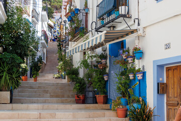 Charming street in Santa Cruz, Alicante, featuring vibrant flower pots and whitewashed buildings. A picturesque staircase leads to a lively neighborhood filled with local culture.