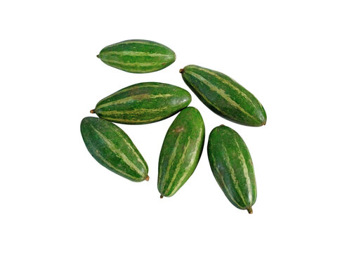 Fresh Pointed Gourd (Potol) on white background 