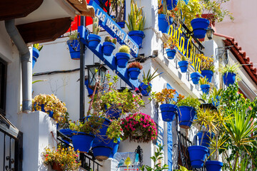 Colorful flower pots line the walls of a quaint street in Santa Cruz, Alicante, showcasing vibrant...