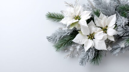 Frost-kissed poinsettias whisper winter solstice secrets, embracing Yule's icy embrace with evergreen serenity and festive allure