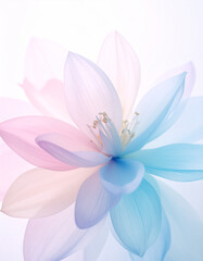 Blooming Flower Nature Artwork Soft Pastels Close-Up Translucent Petals