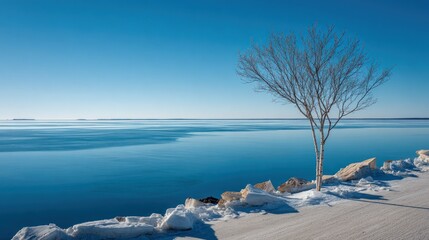 A solitary tree stands on a snowy shoreline, facing a vast expanse of icy water.