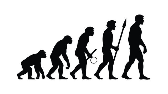 Human Evolution: A graphic representation of human evolution, showcasing the progression of hominids from ape-like ancestors to modern human beings.