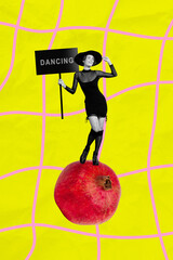 Vertical artwork exclusive collage of happy girl wear witch costume dance picket pomegranate exotic...