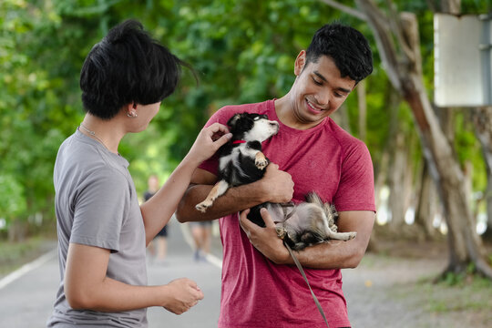 Active men walking outdoors in nature green park with chihuahua dog. Gay couple exercising together in the morning. Two young people exercise in countryside is healthy lifestyle. Gay couple and pet.