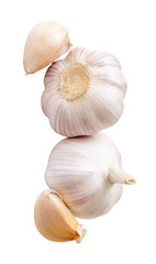 Top view of two garlic bulbs and two garlic cloves in heap isolated on white background with clipping path