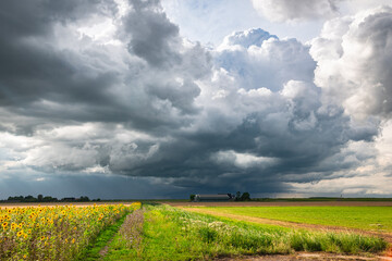 Building storm clouds over the flat countryside of the western Netherlands