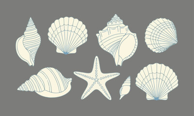A stylized illustration featuring a collection of various seashells and a starfish, rendered in a cream color with light blue outlines, scattered against a solid grey background.