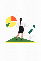 Exclusive image vertical photo collage of anonym businesswoman stand back colorful diagram icon...