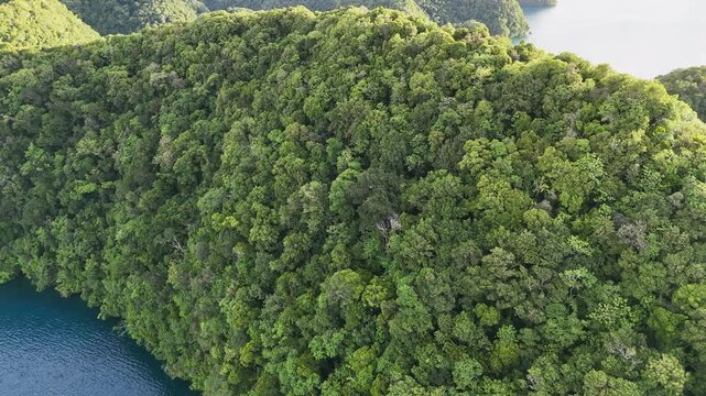 Epic cinematic aerial drone shot revealing the electric-blue seas and untouched islands of Palau. Wide revealing shot