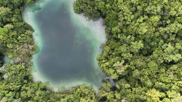 Cinematic aerial drone shot of the wild island landscapes in Palau.